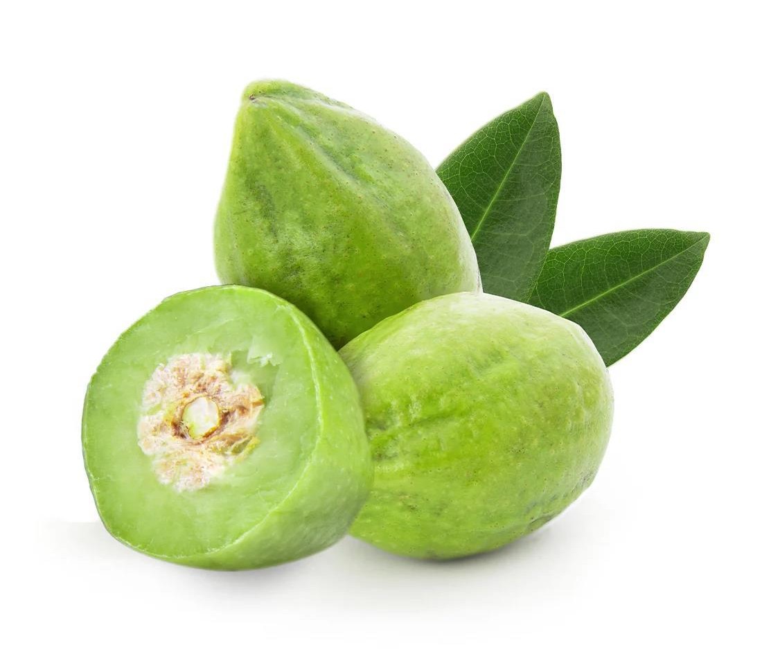 Kakadu Plum