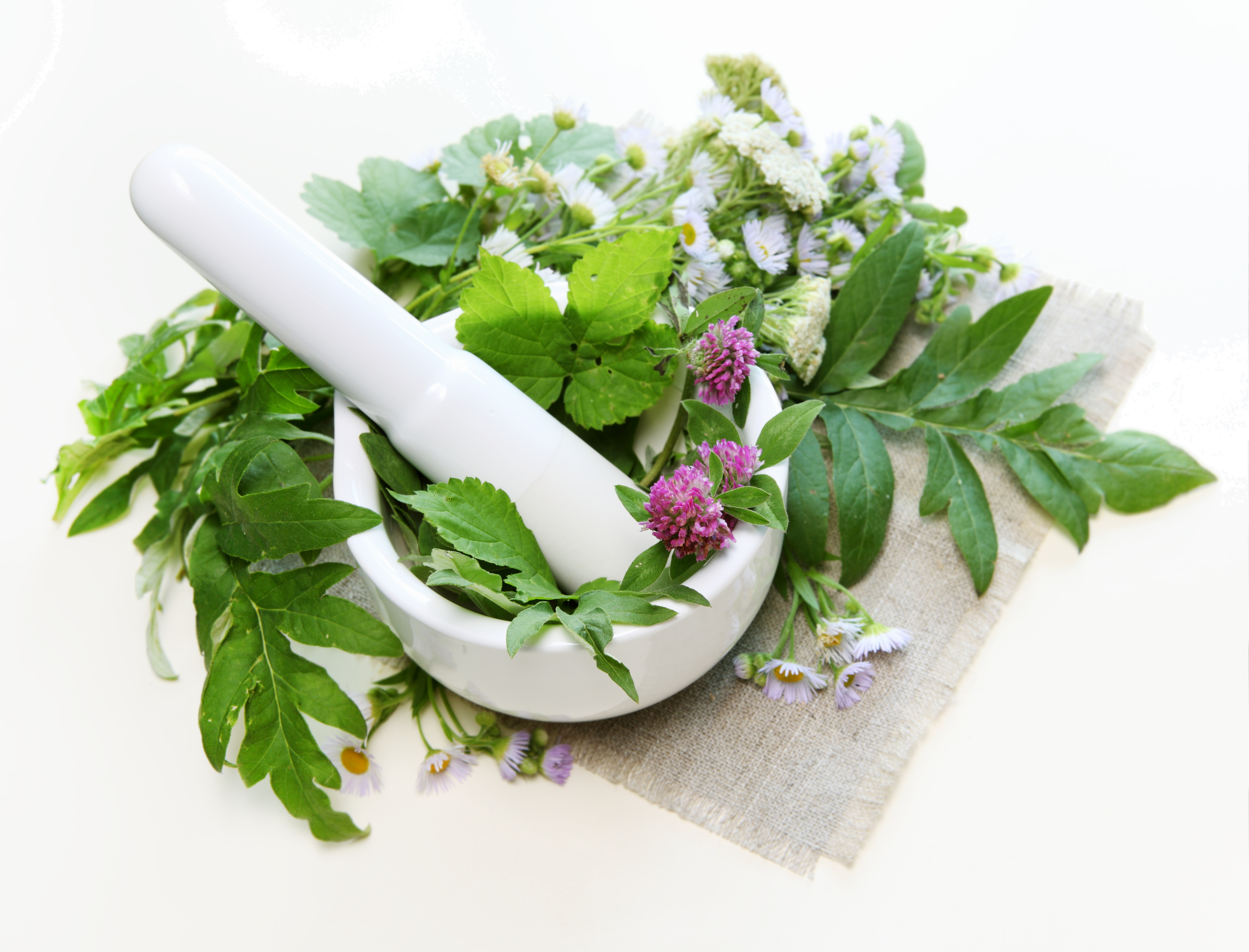 Bare Touch - Herbs in mortar with pestle