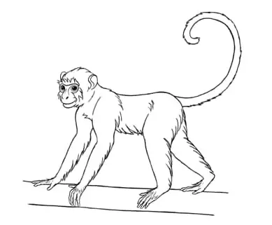 Bare Touch - cruelty free